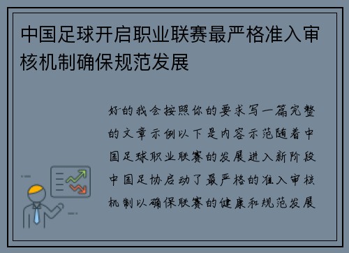 中国足球开启职业联赛最严格准入审核机制确保规范发展